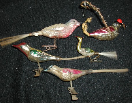 glassbirdsorns.jpg