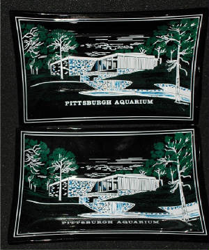 pittsburghaquarium1.jpg